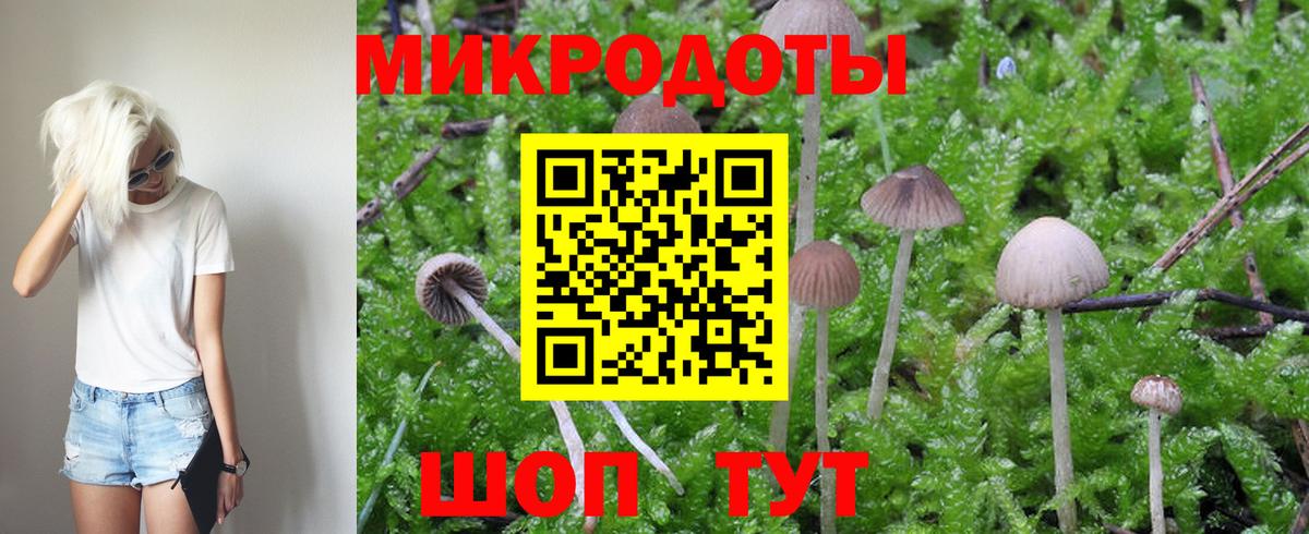 Нижний Тагил  что такое наркотик  Вход с VPN  Галлюциногенные грибы Psilocybe  Псилоцибиновые грибы GOLDEN TEACHER 